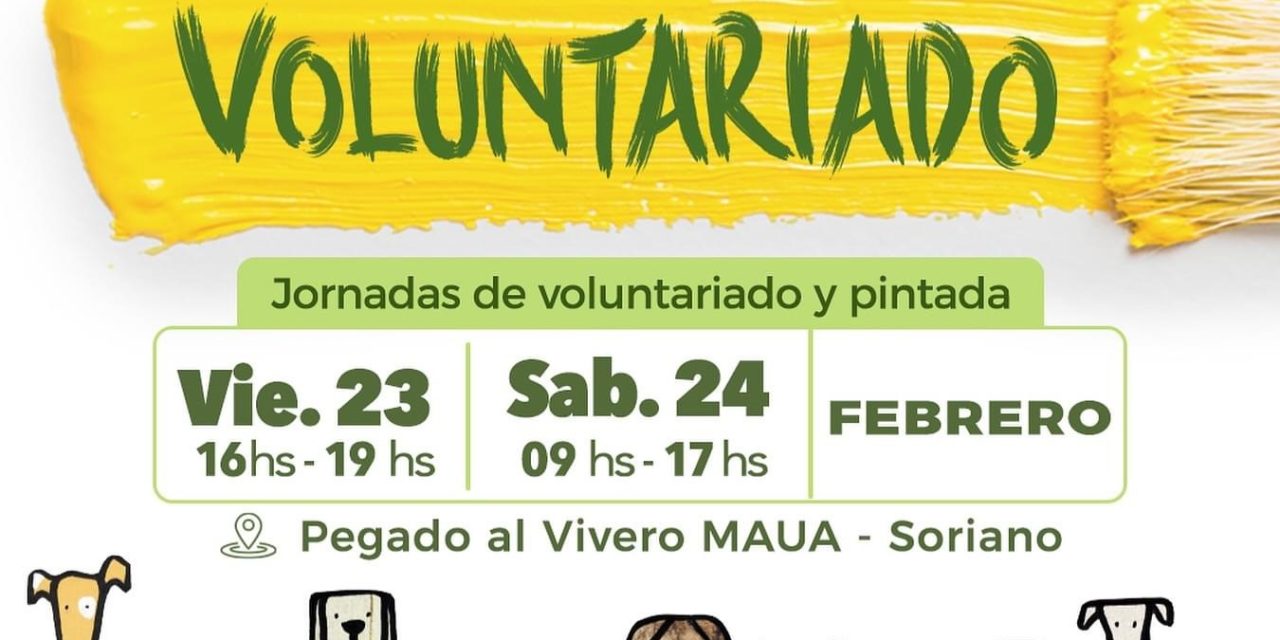 Jornadas de voluntariado destinadas a pintar el nuevo albergue Cero Callejero Mercedes