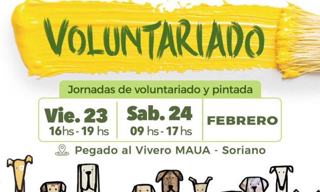 Jornadas de voluntariado destinadas a pintar el nuevo albergue Cero Callejero Mercedes