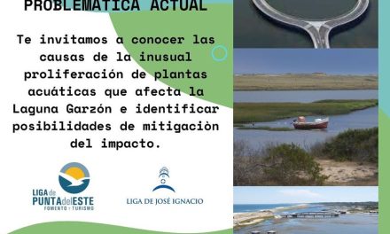 Laguna Garzón: Entendiendo su problemática actual