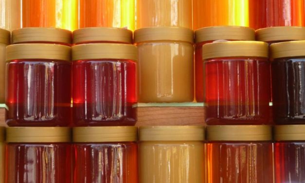 OPYPA-MGAP y CHDA: Se comenzó a analizar huella de carbono en miel