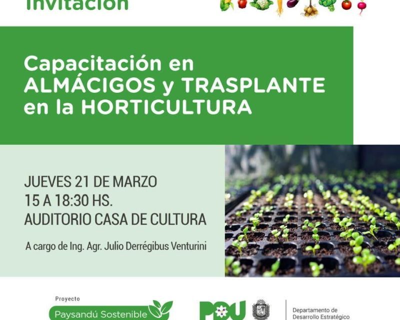 Capacitación en almácigos y trasplante en la horticultura