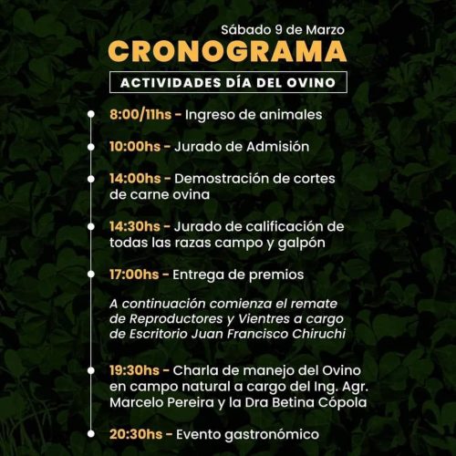Día del Ovino2