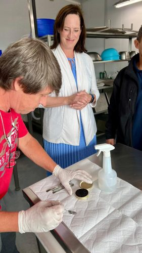 Embajadora Esturiones