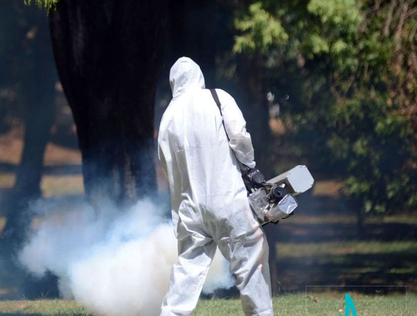 Fumigación por mosquitos: ¿dónde se hará a partir de este martes 26?
