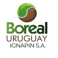 Boreal Uruguay