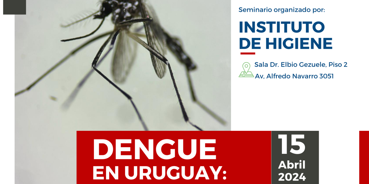 Dengue en Uruguay: ¿Llegó para quedarse?
