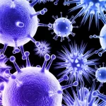 Investigación del Laboratorio de Resistencia a Antibióticos del Instituto de Higiene