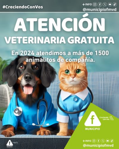 atención veterinaria